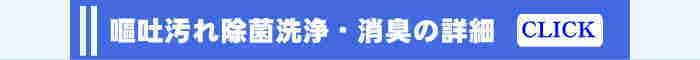 徳島・香川・兵庫・大阪の車内嘔吐クリーニングと車内消臭の詳細ページへ